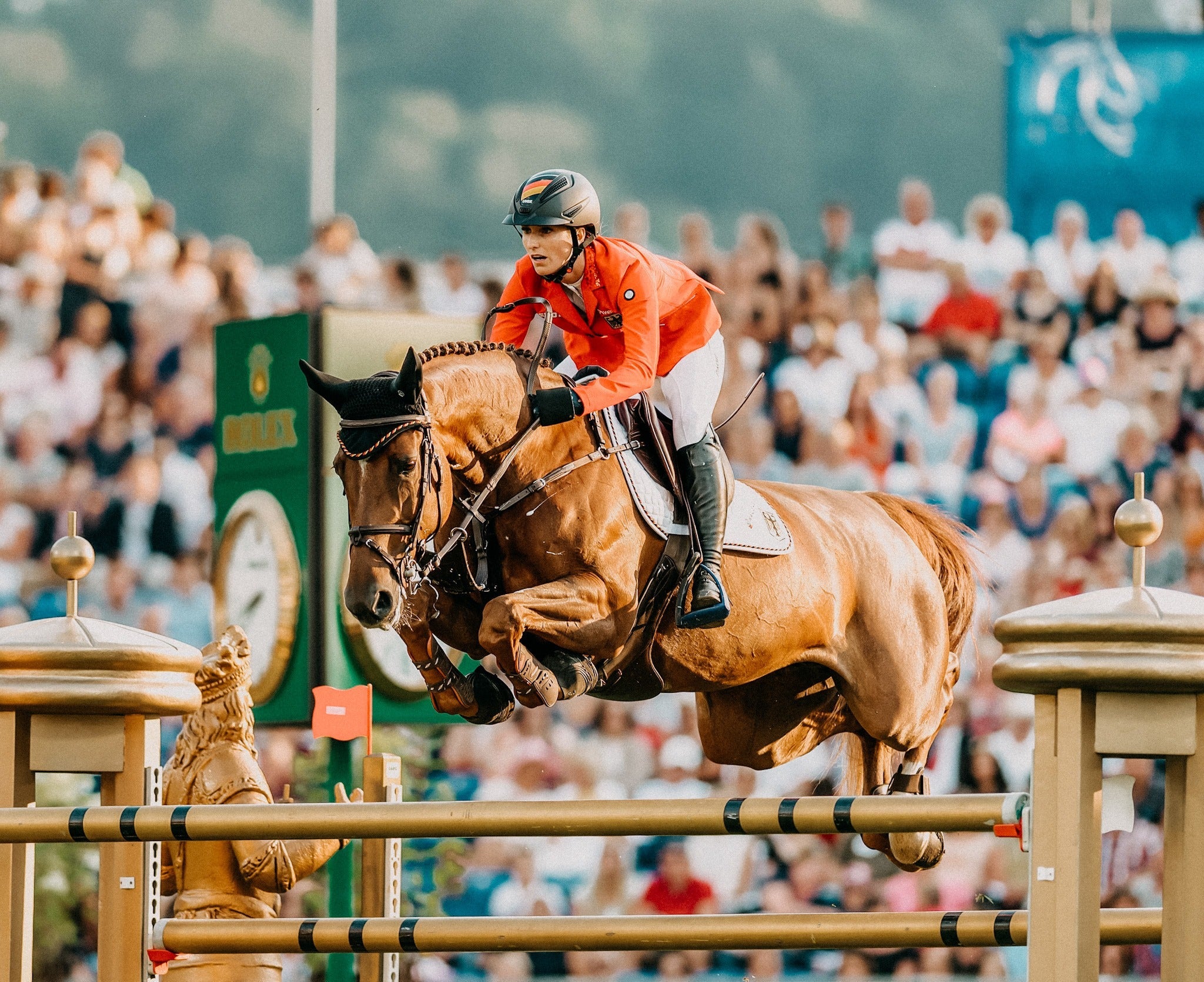 Top Equestrian Trends to Watch