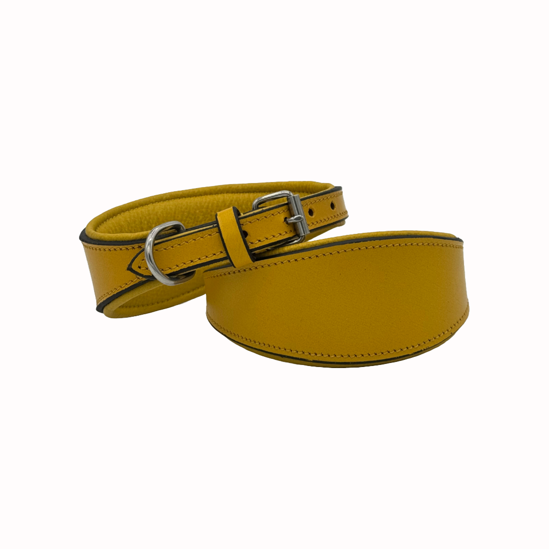 Choosing the Right Dog Whippet Collar: Is your furry friend safe in them?