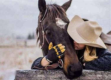 The Bond Between Riders and Their Horses: Stories That Inspire