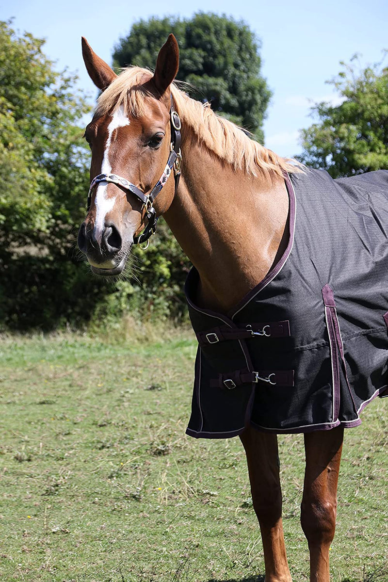 Horse Turnout Rug Lightweight 100g Fill Standard Neck rug / Horse Autumnn