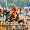Top Equestrian Trends to Watch