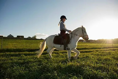 Nurturing Future Equestrians :How Horse Riding affects Children