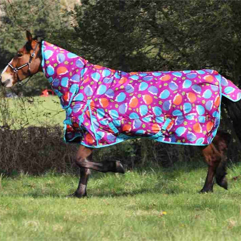 100g Horse Hedgehog Turnout Rug with Detachable Neck – 600D Waterproof
