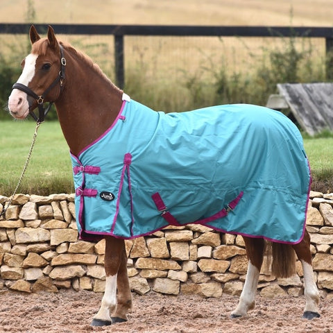 50g Waterproof Horse Turnout Rug with Detachable Leg Straps