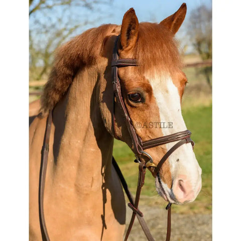 Horse Comfort Bridle – Padded Bridle with Flash and Free Rubber Reins