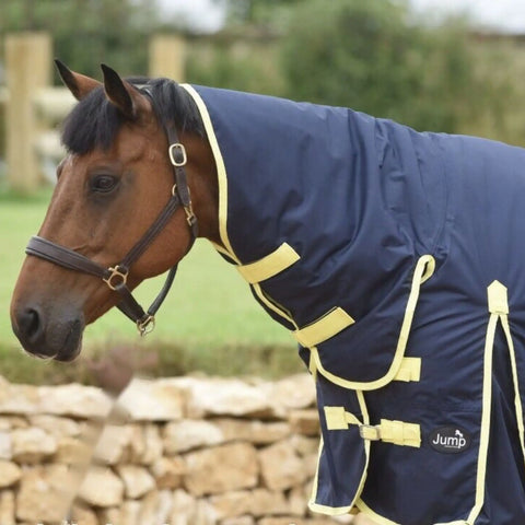 Winter Turnout Rug 600D – 200g Full Neck Waterproof Combo