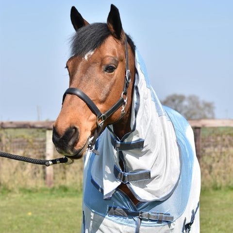 Horse Fly Rug – Two-Tone Fly Sheet with Belly Flap and Fly Mask