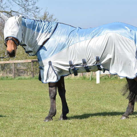 Horse Fly Rug – Two-Tone Fly Sheet with Belly Flap and Fly Mask