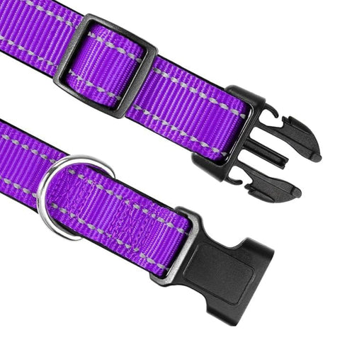 Reflective Nylon Dog Collar – Quick Release Nylon Collar