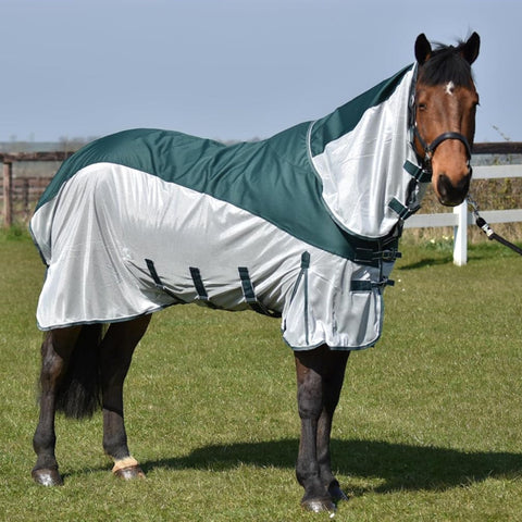 Fly Rug with Turnout Top – 600D Waterproof Fly Sheet with Fly Mask