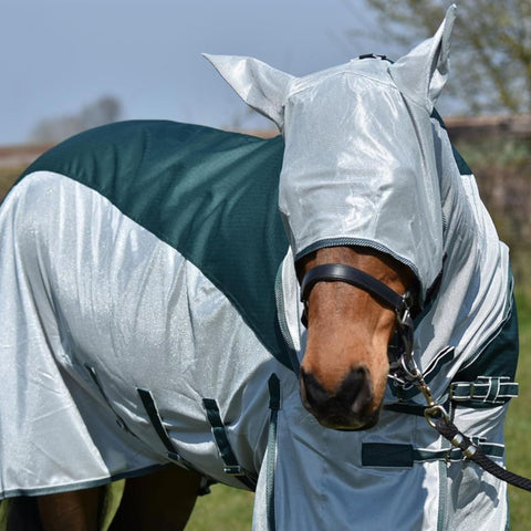 Fly Rug with Turnout Top – 600D Waterproof Fly Sheet with Fly Mask