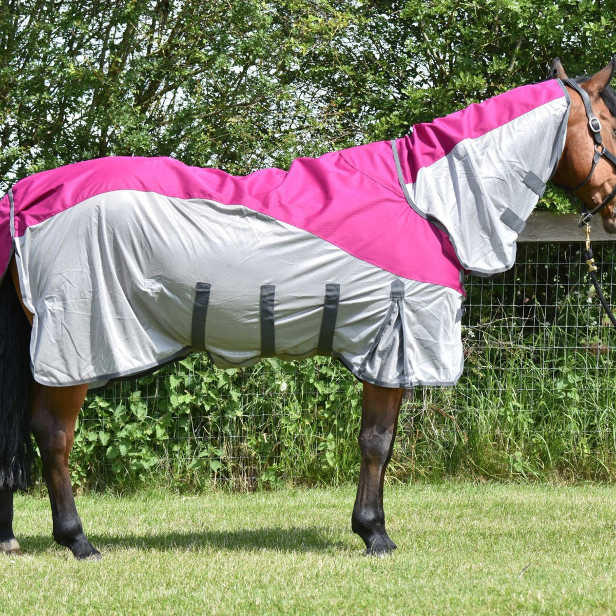 Waterproof Horse Fly Rug – 600D Combo Fly Sheet with Free Mask – Autumnn