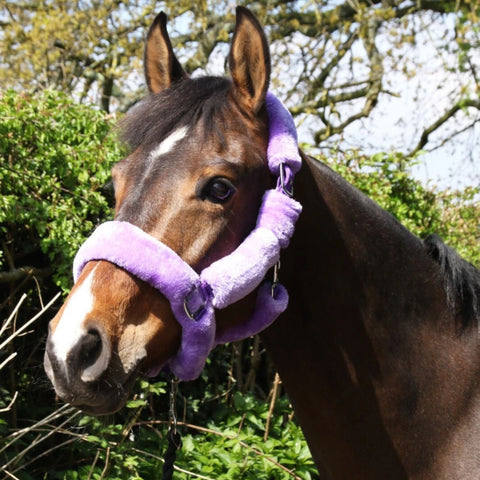 Lilac Horse Head Collar Equestrian Halter Mink Fleece Head Collar