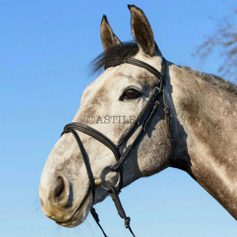 Horse Comfort Bridle – Padded Bridle with Flash and Free Rubber Reins