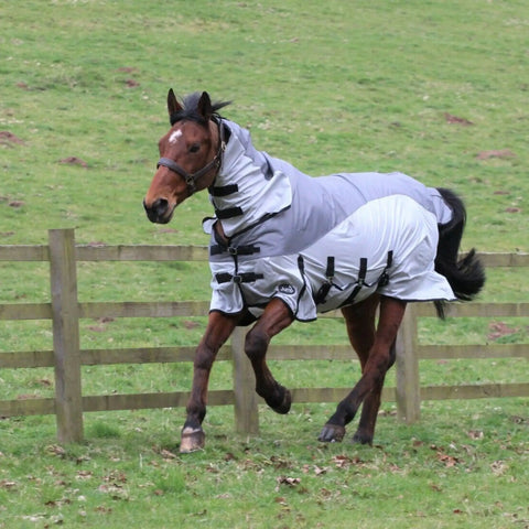 Hybrid Fly Rug – 600D Waterproof Top Lightweight Fly Sheet