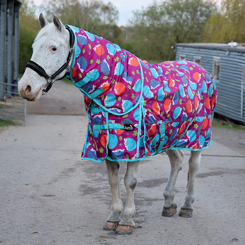 100g Horse Hedgehog Turnout Rug with Detachable Neck – 600D Waterproof