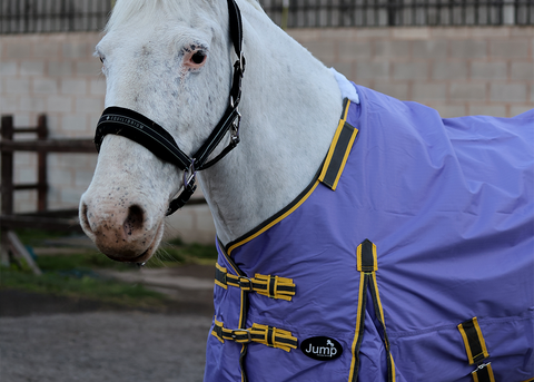 No Fill Horse Turnout Rug with Detachable Neck – 600D Waterproof
