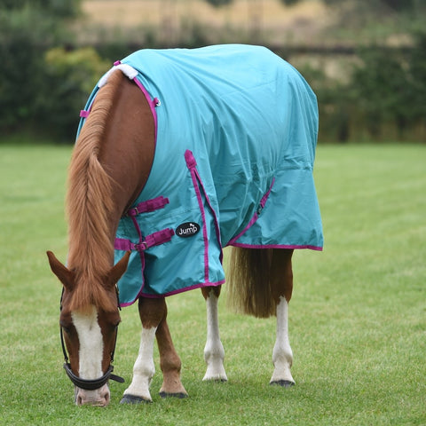 50g Waterproof Horse Turnout Rug with Detachable Leg Straps