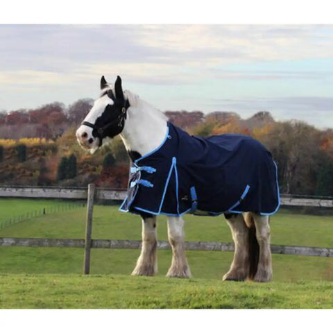 Lightweight  No Fill 0 g FIll Horse Turnout Rug – Lightweight 600D Combo Neck