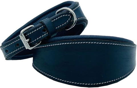 Leather Dog Collar – Padded Dog Collar for Whippet & Greyhound