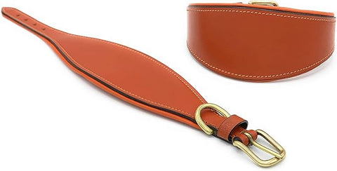 Leather Dog Collar – Padded Dog Collar for Whippet & Greyhound