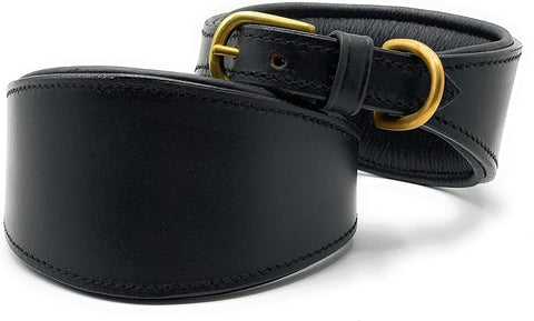 Leather Dog Collar – Padded Dog Collar for Whippet & Greyhound