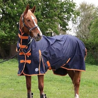 Navy rain sheet with orange trim and neck cover on a chestnut horse