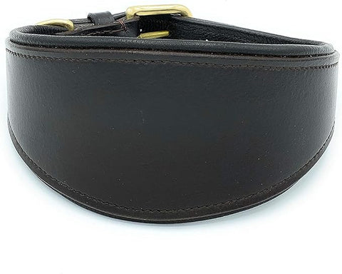 Leather Dog Collar – Padded Dog Collar for Whippet & Greyhound