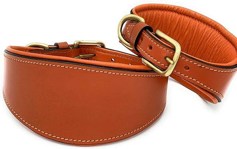 Leather Dog Collar – Padded Dog Collar for Whippet & Greyhound
