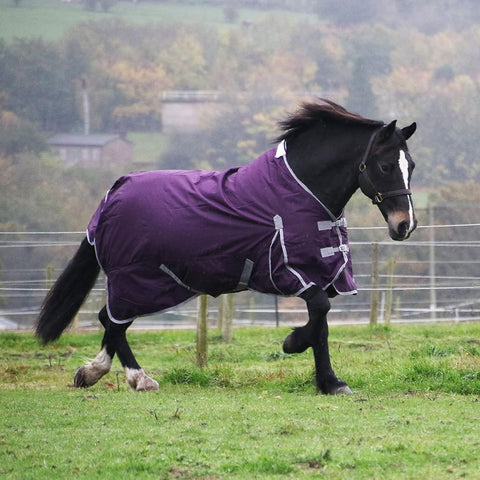 0g No Fill Horse Turnout Rug – 600D Waterproof Lightweight Rain Sheet