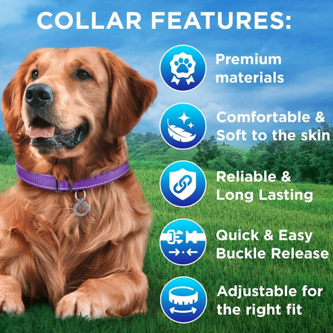 Reflective Nylon Dog Collar – Quick Release Nylon Collar