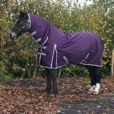 Plum rain sheet with neck cover and grey trim on a black horse