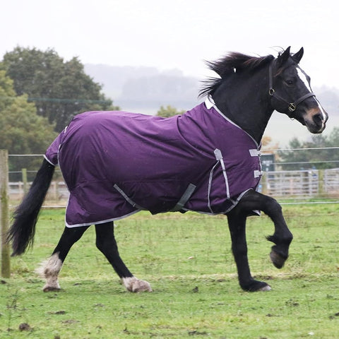 0g No Fill Horse Turnout Rug – 600D Waterproof Lightweight Rain Sheet