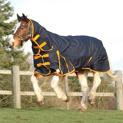 Navy rain sheet with orange trim on a skewbald horse cantering