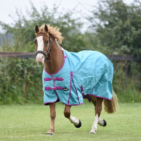 50g Waterproof Horse Turnout Rug with Detachable Leg Straps