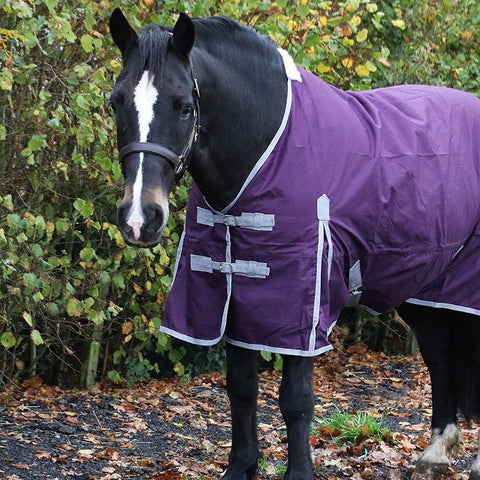 0g No Fill Horse Turnout Rug – 600D Waterproof Lightweight Rain Sheet