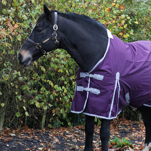 0g No Fill Horse Turnout Rug – 600D Waterproof Lightweight Rain Sheet