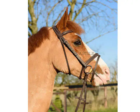 Horse Comfort Bridle – Padded Bridle with Flash and Free Rubber Reins