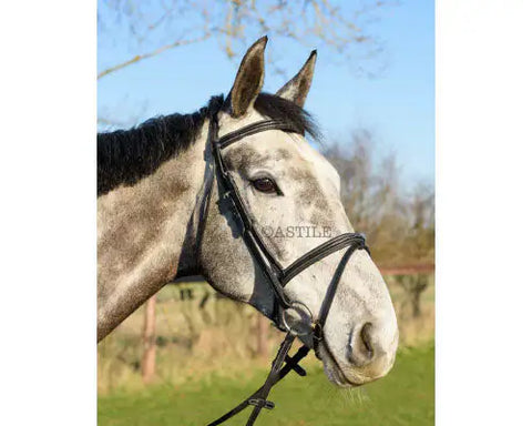 Horse Comfort Bridle – Padded Bridle with Flash and Free Rubber Reins