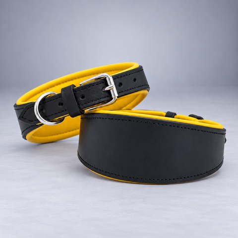 Leather Dog Collar – Padded Dog Collar for Whippet & Greyhound