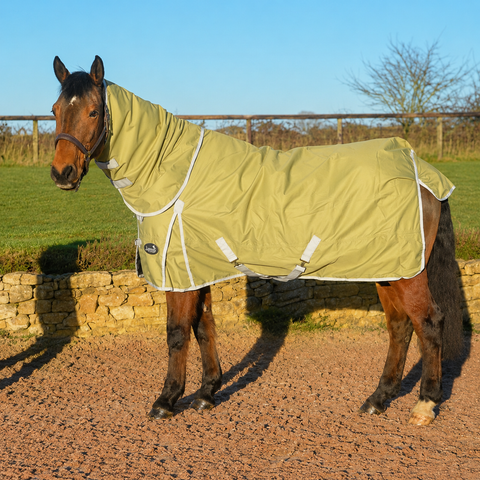 50g Waterproof Horse Turnout Rug with Detachable Neck Combo