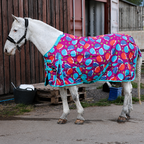 100g Horse Hedgehog Turnout Rug with Detachable Neck – 600D Waterproof