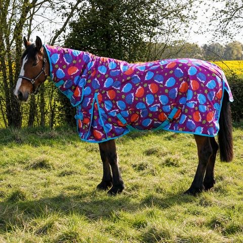100g Horse Hedgehog Turnout Rug with Detachable Neck – 600D Waterproof