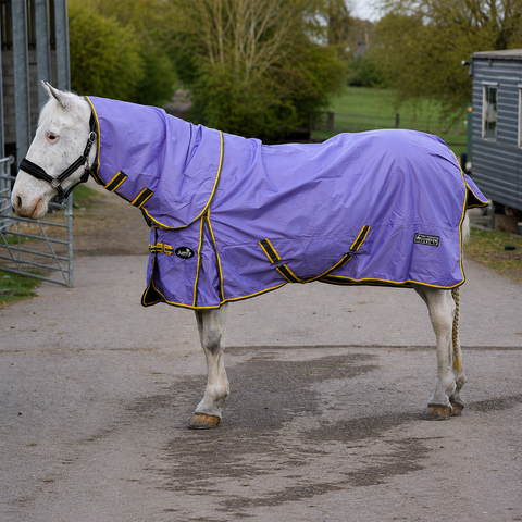 No Fill Horse Turnout Rug with Detachable Neck – 600D Waterproof