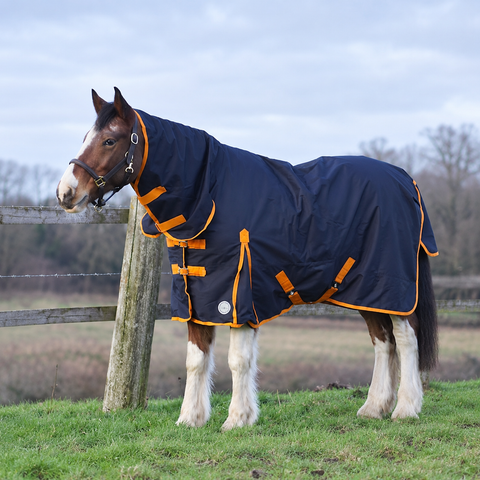 Navy rain sheet with orange chest buckles and neck cover on a bay cob