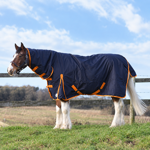 Navy turnout rug with orange trim and neck cover on a feathered bay cob