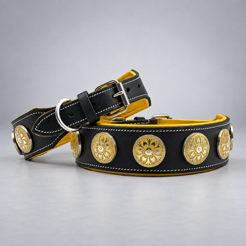 Black padded leather studded dog collar, 2 inch wide, for Staffies