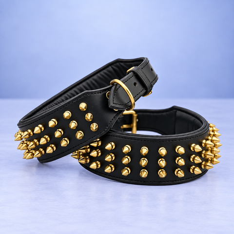 Leather Dog Collar with Gold Spike Studs for Big Dogs