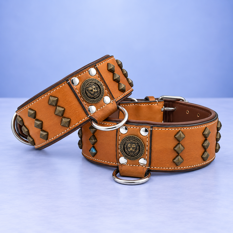 Wide Studded Leather Dog Collar with Lion Soft Padding