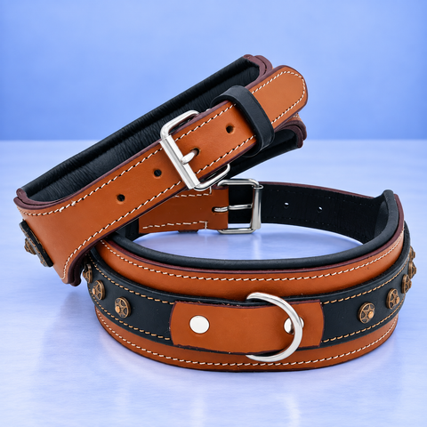 Genuine Leather Dog Collar – Heavy Duty Studded Collar for Big Dogs